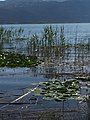 Partial view of Lake Trichonida.