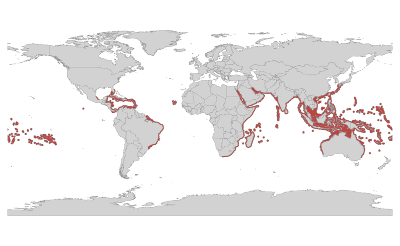 File:Milleporidae map.png