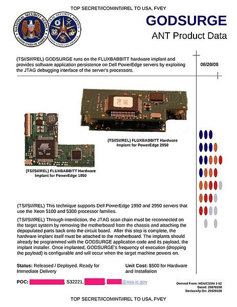 File:NSA GODSURGE.jpg