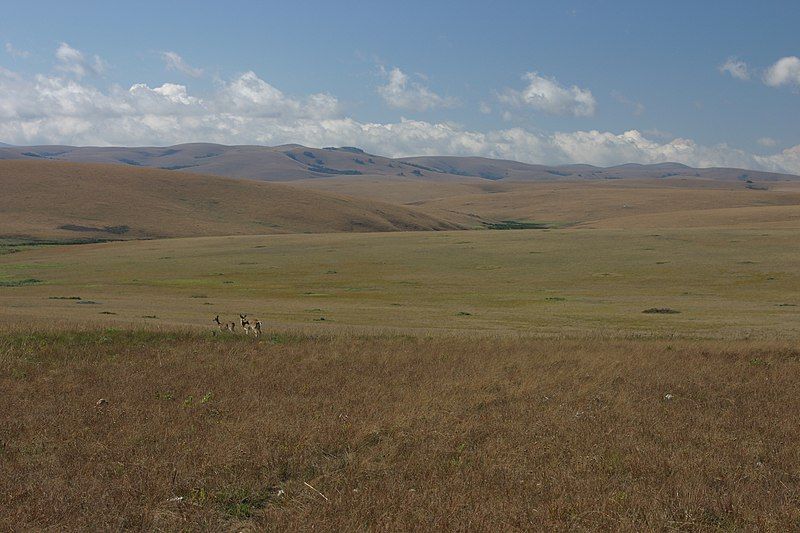 File:Nyika grassland.jpg