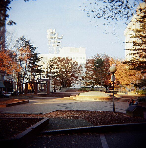 File:Paranoid Park.jpg