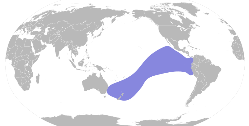 File:Procellaria parkinsoni map.svg