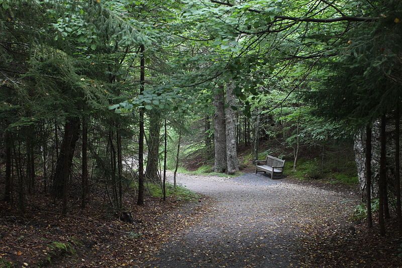 File:Roosevelt-Campobello-International-Park-Trail.jpg