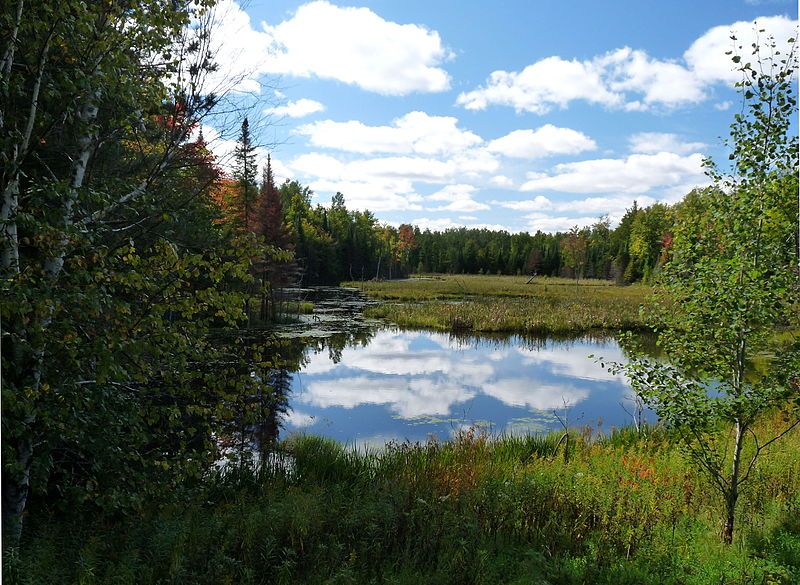 File:Westboro lake.jpg