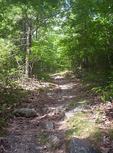 File:WildOakTrail uphill.jpg