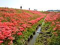 Yakachi River