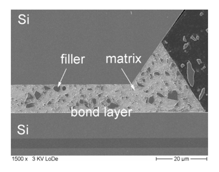 File:B-gf-crosssectionsembosch.png