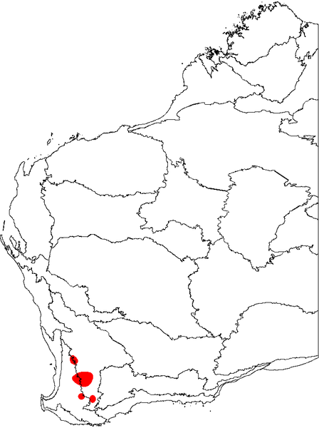 File:Banksia proteoides map.png