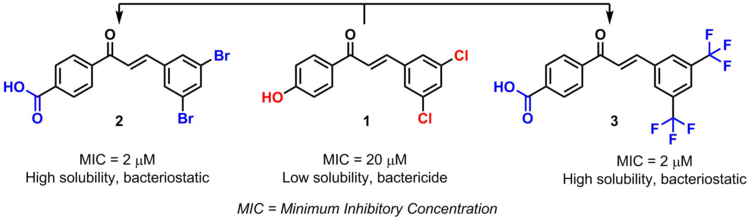 Example of bioisosterism in chalcones