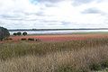 Bool Lagoon, June 2005