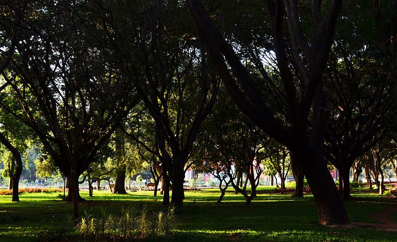 File:Cubbon Park W.jpg