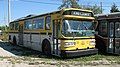 Hamilton Street Railway trolleybus