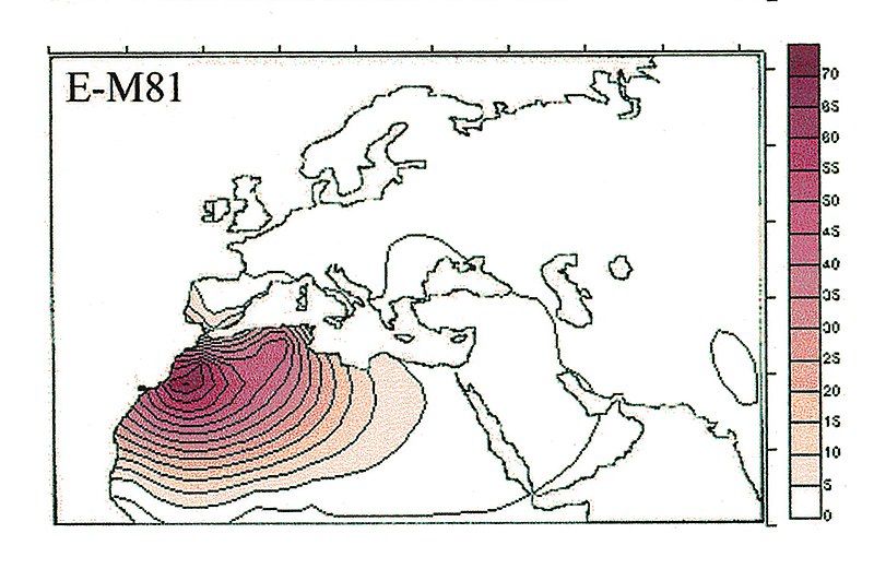 File:Haplogroup E-M81 distribution.jpg