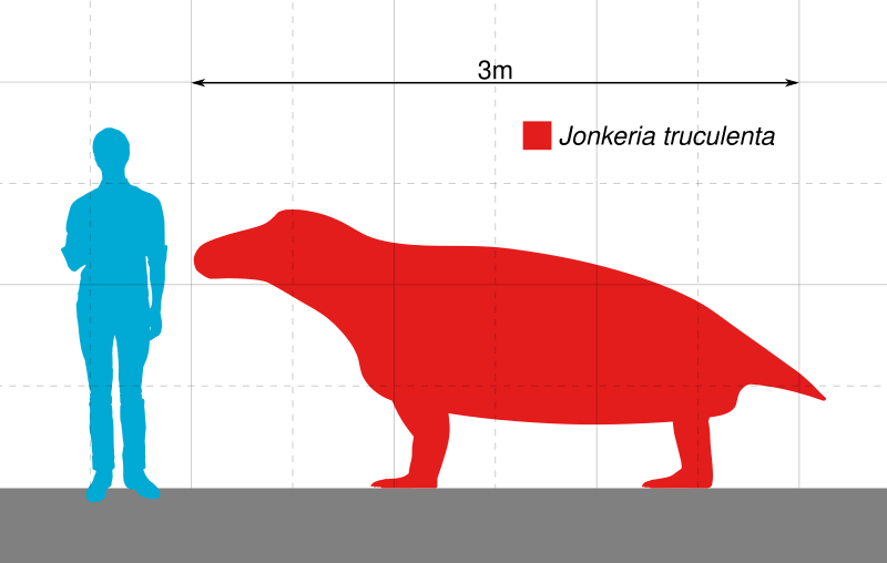 File:Jonkeria Scale.svg