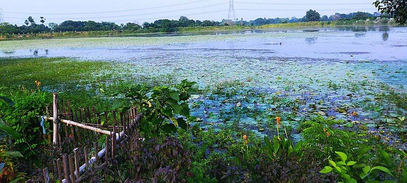 File:Kutri village pond.jpg