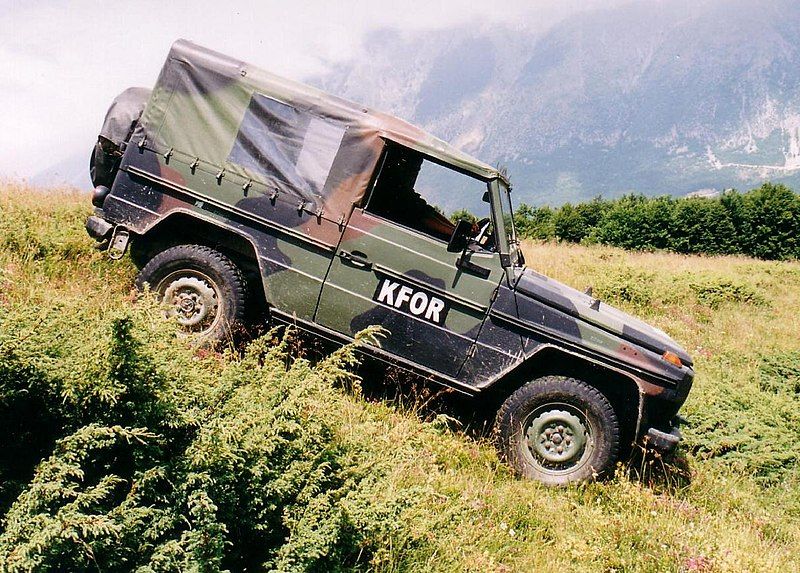 File:MB250GD Wolf.jpg