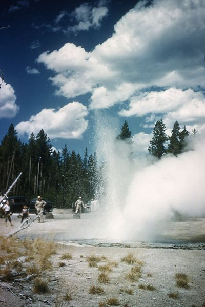 File:MinuteGeyser-Alcorn1948.jpg