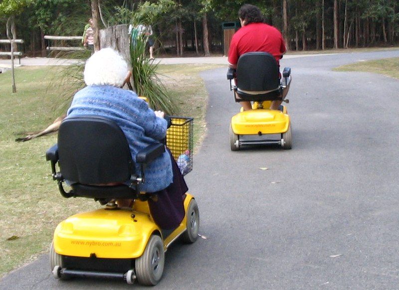 File:Mobility scooter zoo.jpg