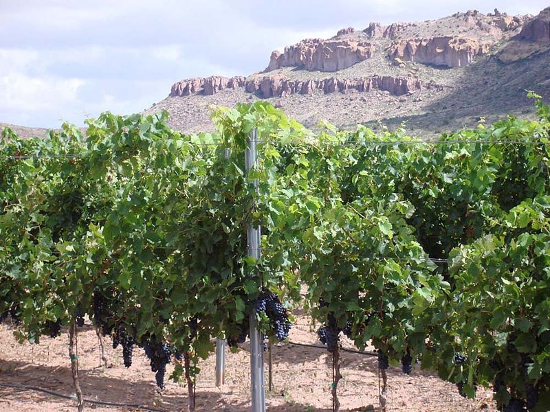 File:NewMexicoWineCountry.jpg