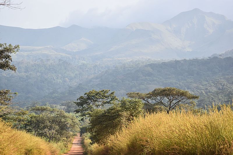 File:Nimba mountainridge.jpg