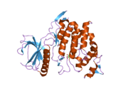 2eu9: Crystal Structure of CLK3