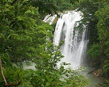 An image of a waterfall with some foliage in the foreground