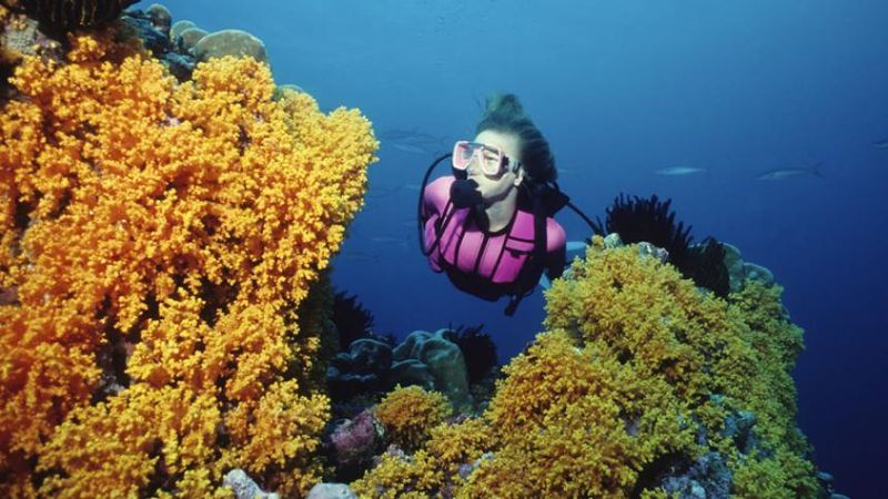 File:Scuba-Diving-in-South-Caicos.jpg