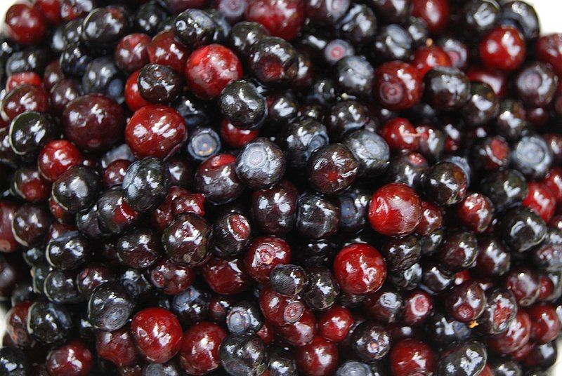 File:Vaccinium membranaceum Fruit.jpg