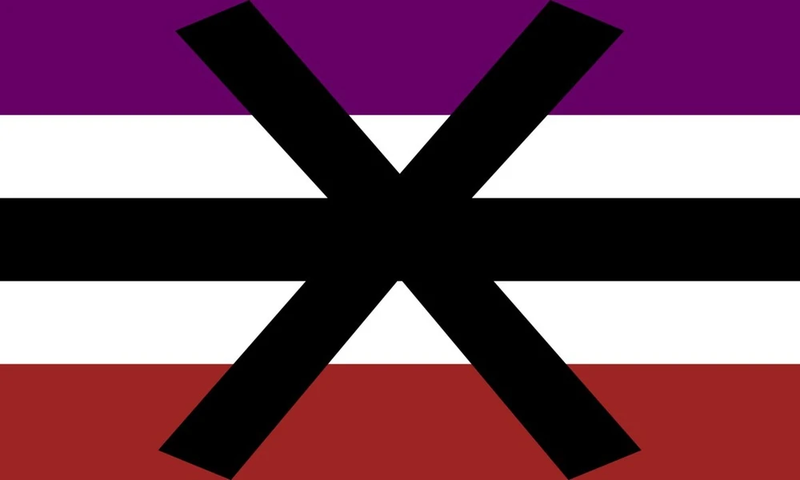 File:Apothisexual flag.png