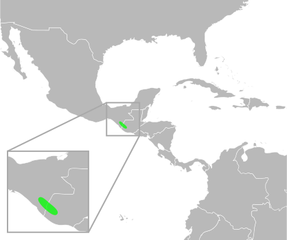 File:Bufo tacanensis distribution.svg