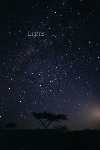 File:Constellation Lupus.jpg