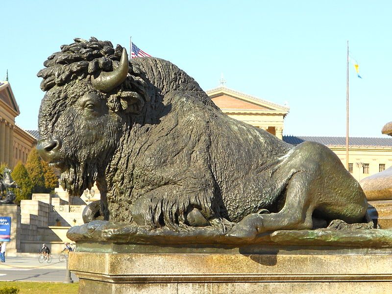 File:GW Philly Buffalo.JPG