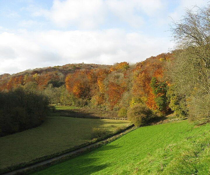 File:Golden valley autumn.jpg