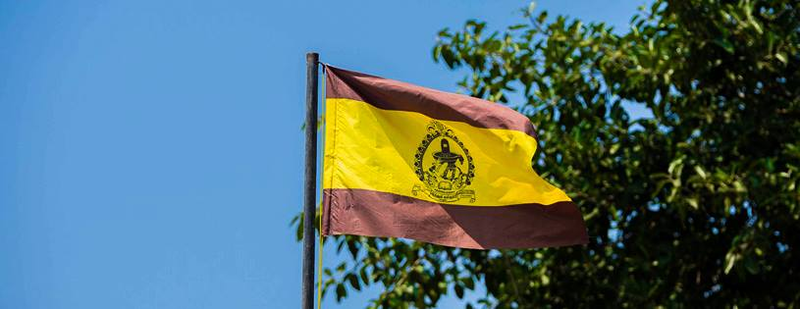 File:HCC Flag Flying.png