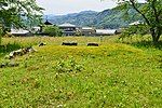 Kōzato temple ruins