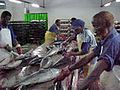 Processing fish.(2006)