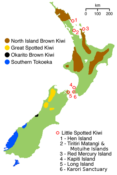 File:NZ-kiwimap 5 species.png