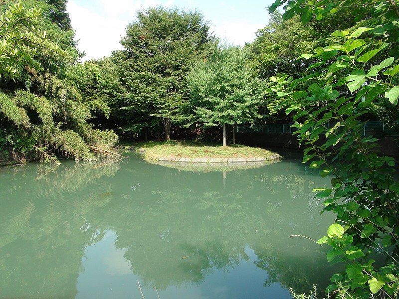 File:Nozo-Ike Pond.JPG