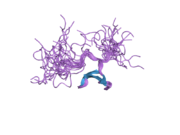 2e45: Solution structure of Fe65 WW domain