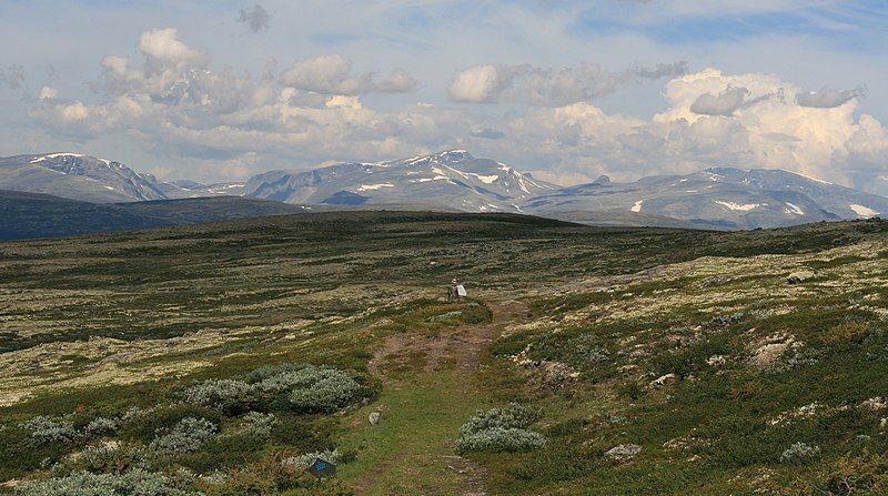 File:Pilgrimsleden Dovrefjell.jpg