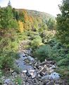 Pleasant Stream in McNett and Cascade Townships