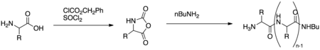 Poly-Leucine Synthesis