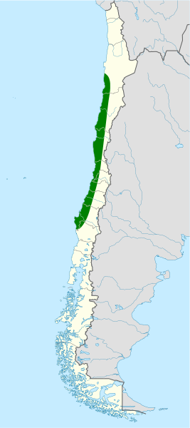 File:Pseudasthenes humicola map.svg