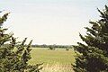 Looking towards Minneapolis, KS across rippling wheat fields in May