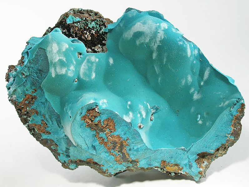 File:Rosasite-rosa08a.jpg