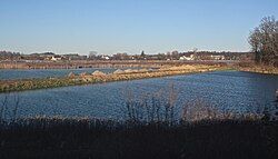 Ponds near Strzegomka, Stróża in the background (2019)