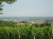 Susegana as viewed from the hills