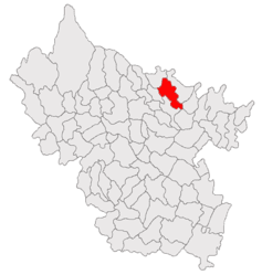 Location in Buzău County