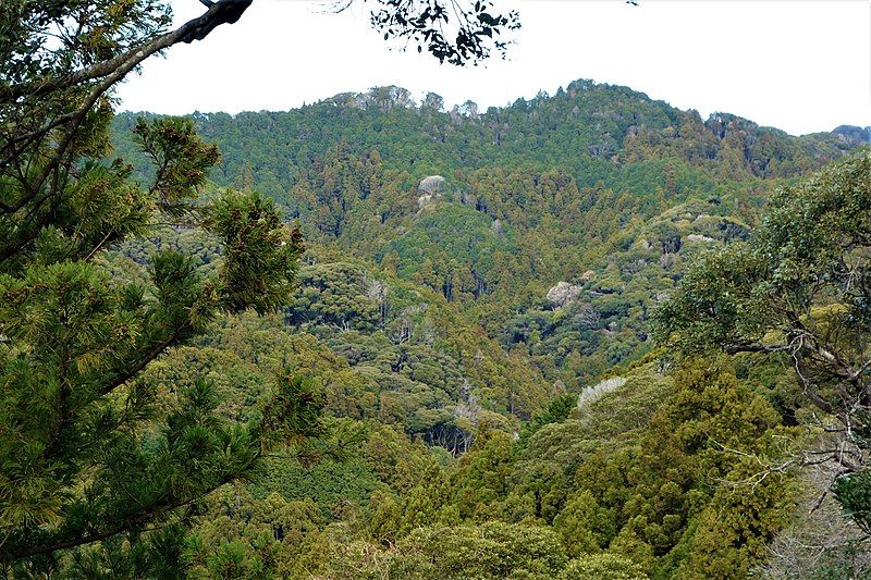 File:花嫁街道からの烏場山.jpg