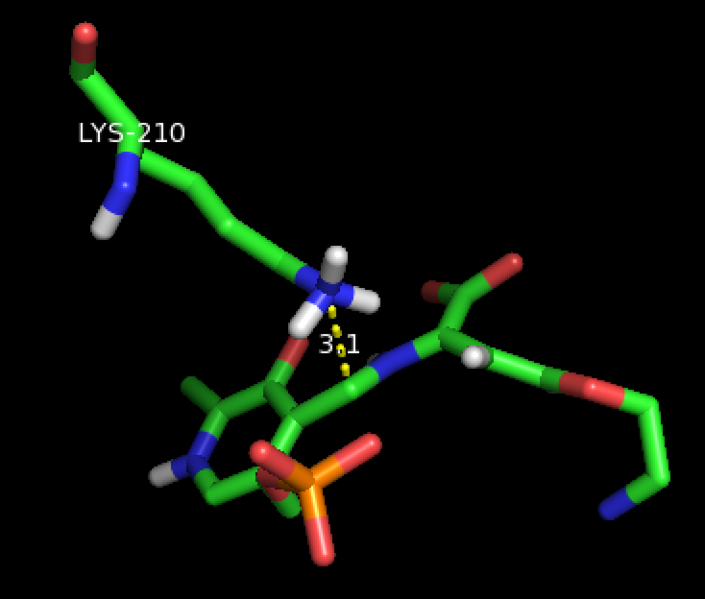 File:AVG bounded PLP.png